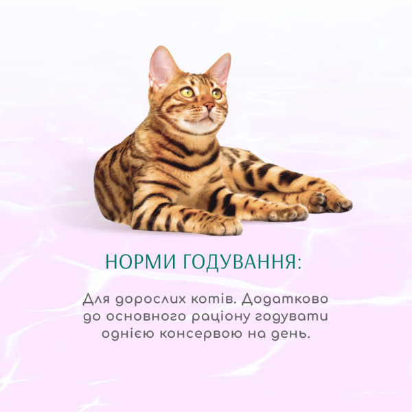 Вологий корм для котів Optimeal Beauty Harmony 70 г (тунець) Optimeal Beauty – купити зі знижкою %
