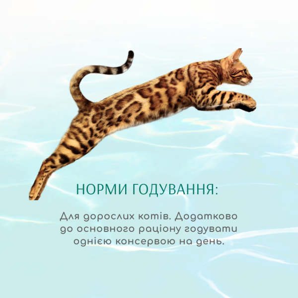 Вологий корм для котів Optimeal Beauty Fitness 70 г (тунець з креветками) Optimeal Beauty – купити зі знижкою %