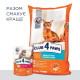 Сухий корм для котів із чутливим травленням Club 4 Paws Premium 14 кг - курка Club 4 Paws – купити зі знижкою %