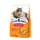 Сухий корм для котів з ефектом виведення шерсті Club 4 Paws Premium 2 кг - курка Club 4 Paws – купити зі знижкою %