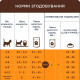 Вологий корм для кошенят Club 4 Paws Premium pouch (24 шт упаковка) (індичка) Club 4 Paws – купити зі знижкою %