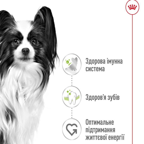 Сухий корм для собак Royal Canin X-Small Adult 500 г Royal Canin – купити зі знижкою %