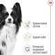 Сухий корм для собак Royal Canin X-Small Adult 500 г Royal Canin – купити зі знижкою %