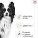 Сухий корм для собак Royal Canin X-Small Adult 8+, 3 кг Royal Canin – купити зі знижкою %