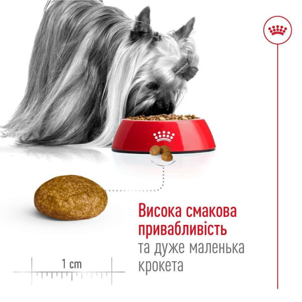 Сухий корм для собак Royal Canin X-Small Adult 8+, 3 кг Royal Canin – купити зі знижкою %