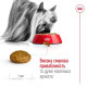 Сухий корм для собак Royal Canin X-Small Adult 8+, 3 кг Royal Canin – купити зі знижкою %