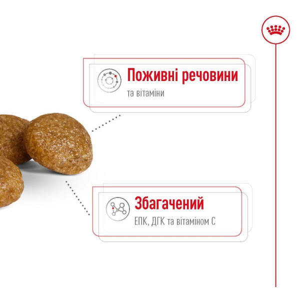 Сухий корм для собак Royal Canin X-Small Adult 8+, 3 кг Royal Canin – купити зі знижкою %
