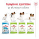 Сухий корм для собак Royal Canin X-Small Adult 8+, 3 кг Royal Canin – купити зі знижкою %