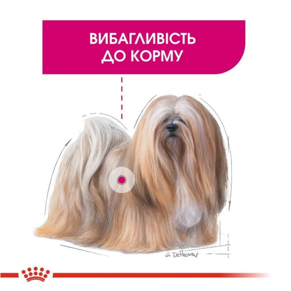 Royal Canin Mini Exigent cухий корм для собак 3 кг Royal Canin – купити зі знижкою %