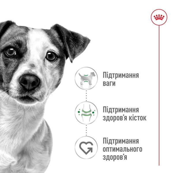 Вологий корм для собак Royal Canin Mini Adult pouch 85 г (1 упак 12 шт) Royal Canin – купити зі знижкою %