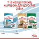 Влажный корм для щенков Royal Canin Mini Puppy 85 г (1 упак 12 шт) Royal Canin – купить со скидкой