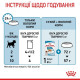 Влажный корм для щенков Royal Canin Mini Puppy 85 г (1 упак 12 шт) Royal Canin – купить со скидкой