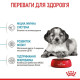 Сухий корм для цуценят Royal Canin Medium Puppy 15 кг Royal Canin – купити зі знижкою %