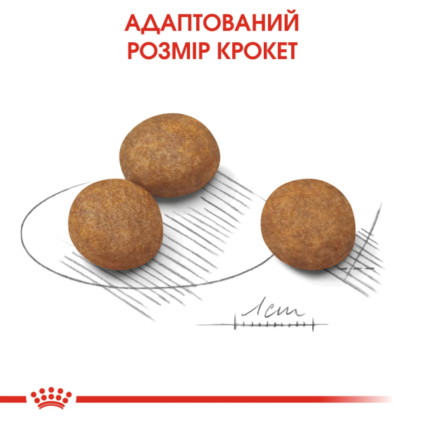 Сухий корм для цуценят Royal Canin Maxi Puppy 15 кг Royal Canin – купити зі знижкою %