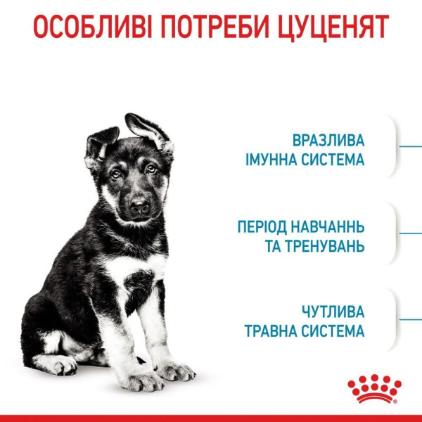 Сухий корм для цуценят Royal Canin Maxi Puppy 15 кг Royal Canin – купити зі знижкою %
