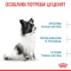 Сухий корм для цуценят Royal Canin X-Small Puppy 3 кг Royal Canin – купити зі знижкою %