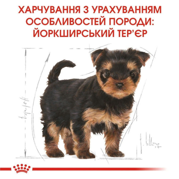 Сухий корм для цуценят Royal Canin Yorkshire Puppy 7,5 кг Royal Canin – купити зі знижкою %