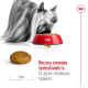 Сухий корм для собак Royal Canin X-Small Adult 3 кг Royal Canin – купити зі знижкою %