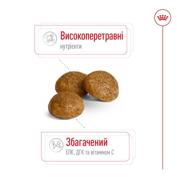 Сухий корм для собак Royal Canin X-Small Adult 3 кг Royal Canin – купити зі знижкою %