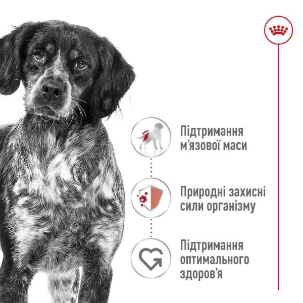 Сухий корм для собак Royal Canin Medium Adult 15 кг Royal Canin – купити зі знижкою %