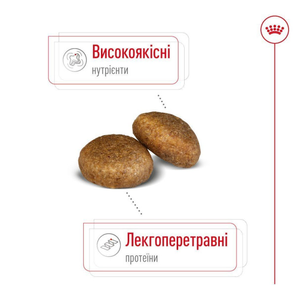 Сухий корм для собак Royal Canin Maxi Adult 15 кг Royal Canin – купити зі знижкою %
