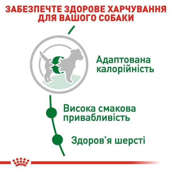 Сухий корм для собак Royal Canin Mini Adult 8 кг Royal Canin – купити зі знижкою %
