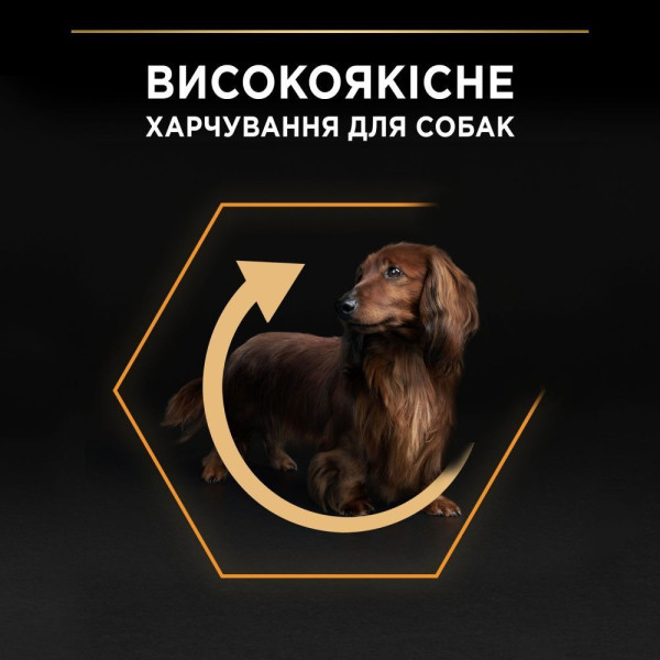 Сухой корм для собак Pro Plan Adult Small & Mini 700 г - курица Pro Plan – купить со скидкой