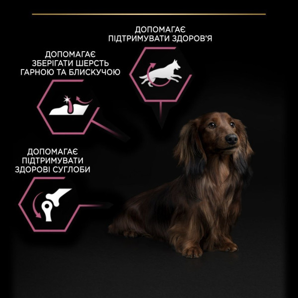 Сухой корм для собак Purina Pro Plan Small & Mini Sensitive 700 г - лосось Pro Plan – купить со скидкой