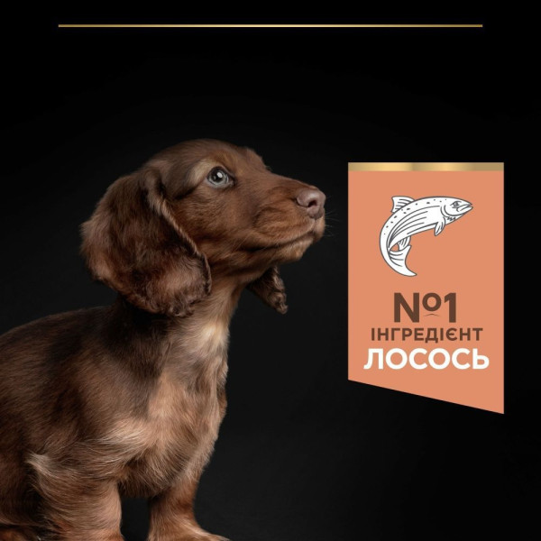 Сухой корм для щенковPro Plan Small and Mini Puppy Sensitive Skin 3 кг - лосось Pro Plan – купить со скидкой