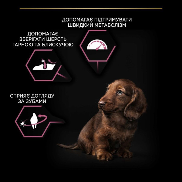 Сухой корм для щенковPro Plan Small and Mini Puppy Sensitive Skin 3 кг - лосось Pro Plan – купить со скидкой