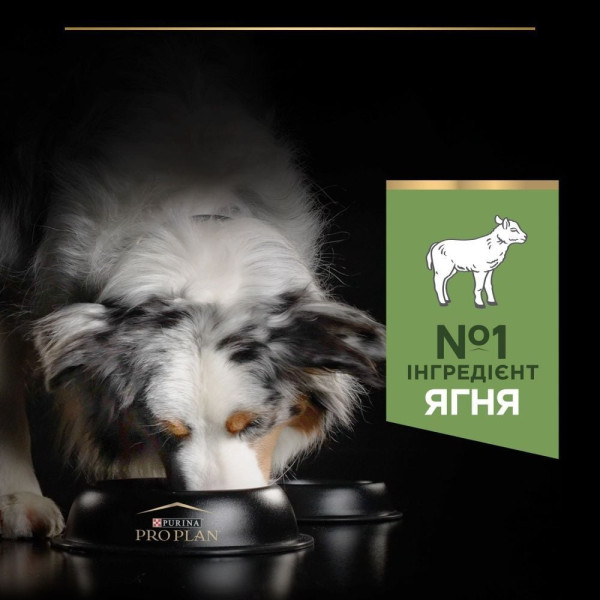 Сухой корм для собак ProPlan Medium Sensitive 3 кг - ягненок Pro Plan – купить со скидкой