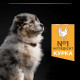 Сухой корм для щенков и молодых собак Pro Plan Puppy Medium 3 кг - курица Pro Plan – купить со скидкой