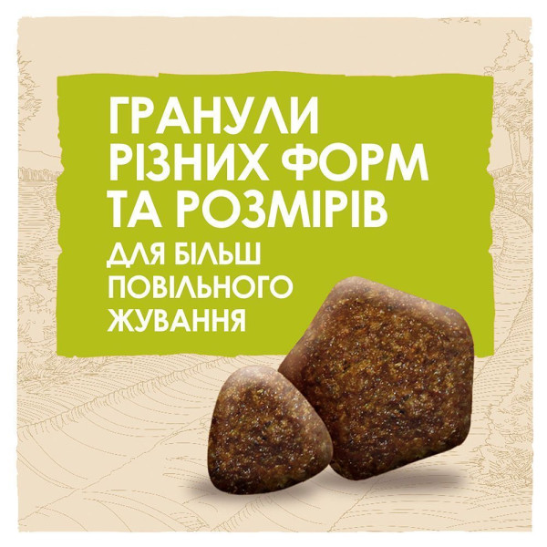 Сухий корм для дорослих собак великих порід Dog Chow Adult Large Breed Turkey 14 кг (індичка) Dog Chow – купити зі знижкою %