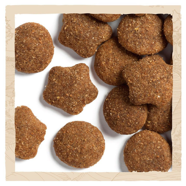 Сухий корм для цуценят та молодих собак великих порід Dog Chow Puppy Large Breed Turkey 14 кг (індичка) Dog Chow – купити зі знижкою %