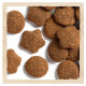 Сухий корм для цуценят та молодих собак великих порід Dog Chow Puppy Large Breed Turkey 14 кг (індичка) Dog Chow – купити зі знижкою %