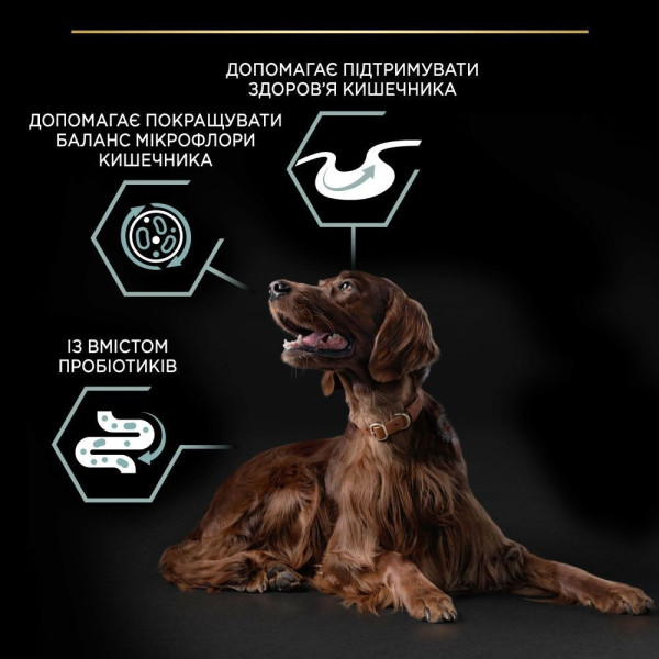 Сухой корм для собак Pro Plan Large Athletic 14 кг - ягненок Pro Plan – купить со скидкой