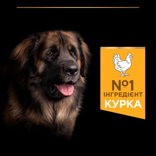 Сухой корм для собак Purina Pro Plan Large Robust Adult 14кг - домашняя птица Pro Plan – купить со скидкой