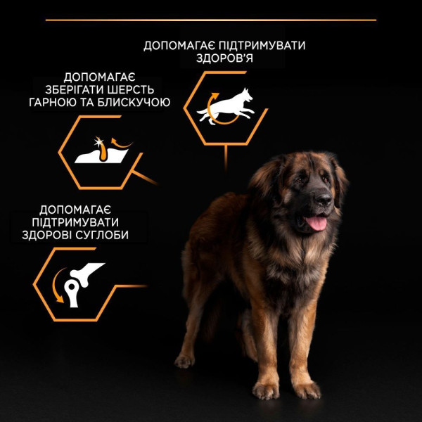 Сухой корм для собак Purina Pro Plan Large Robust Adult 14кг - домашняя птица Pro Plan – купить со скидкой