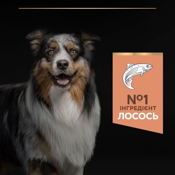 Сухой корм для собак ProPlan Medium Sensitive Skin 14 кг - лосось Pro Plan – купить со скидкой