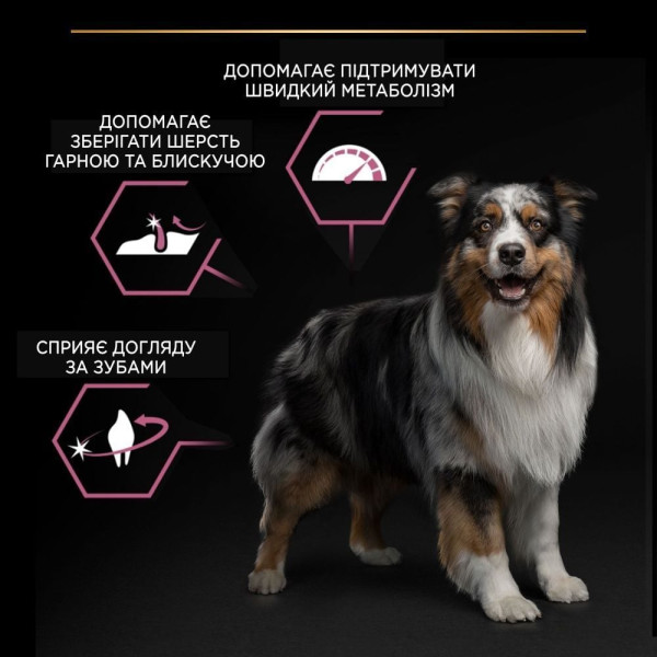 Сухой корм для собак ProPlan Medium Sensitive Skin 14 кг - лосось Pro Plan – купить со скидкой