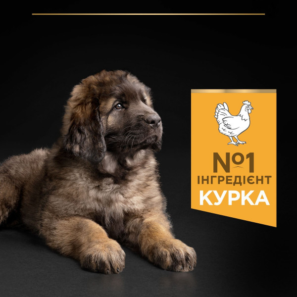 Сухой корм для щенков крупных пород Pro Plan Puppy large Robust 12 кг (курица) Pro Plan – купить со скидкой