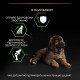 Сухой корм для щенков крупных пород Pro Plan Puppy large Robust 12 кг (курица) Pro Plan – купить со скидкой