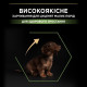 Сухой корм для щенков и молодых собак Pro Plan Puppy Small & Mini 7 кг - курица Pro Plan – купить со скидкой