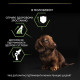 Сухой корм для щенков и молодых собак Pro Plan Puppy Small & Mini 7 кг - курица Pro Plan – купить со скидкой