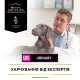 Сухий корм для собак при захворюваннях сечовивідних шляхів Pro Plan Veterinary Diets Urinary 1,5 кг (курка) Pro Plan Veterinary Diets – купити зі знижкою %