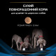 Сухий корм для собак Pro Plan Veterinary Diets DRM Dermatosis 3 кг Pro Plan Veterinary Diets – купити зі знижкою %