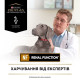 Вологий корм для собак Pro Plan Veterinary Diets NF Renal Function 195 г - асорті(1 упаковка 24 банки) Pro Plan Veterinary Diets – купити зі знижкою %