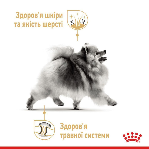 Сухий корм для собак Royal Canin Pomeranian Adult 1.5 кг Royal Canin – купити зі знижкою %