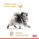 Сухий корм для собак Royal Canin Pomeranian Adult 1.5 кг Royal Canin – купити зі знижкою %