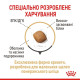 Сухий корм для собак Royal Canin Pomeranian Adult 1.5 кг Royal Canin – купити зі знижкою %